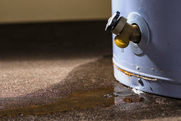 Best Professional water damage repair  in Fremont, NC