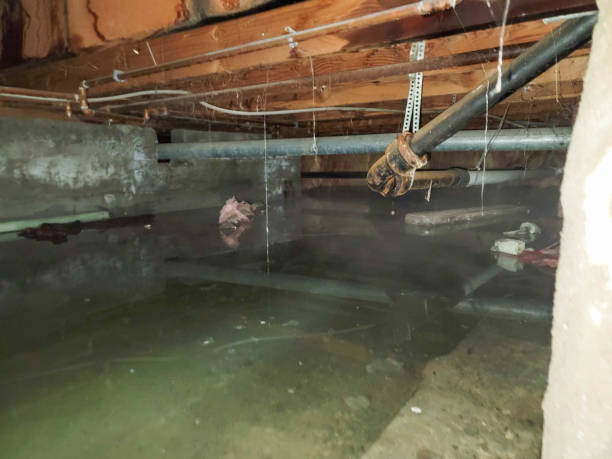 Best Ceiling water damage repair  in Fremont, NC