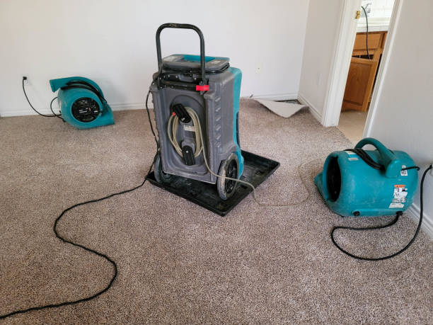 Best Fire Damage Restoration  in Fremont, NC