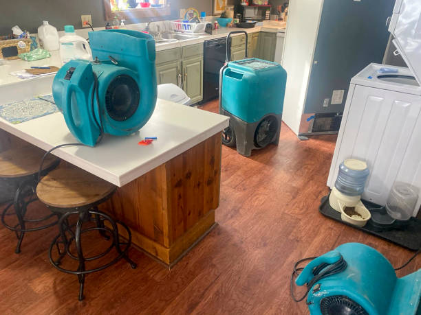Best Water damage contractors near me  in Fremont, NC