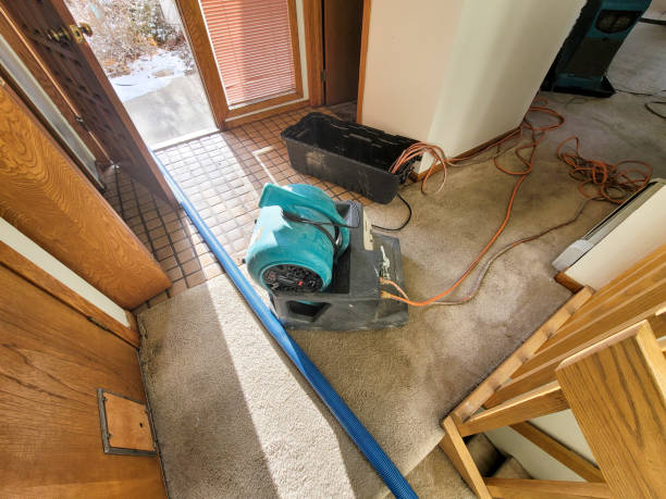 Best Flood damage cleanup  in Fremont, NC