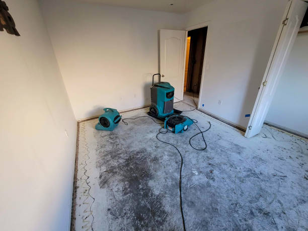 Best Water damage cleanup near me  in Fremont, NC