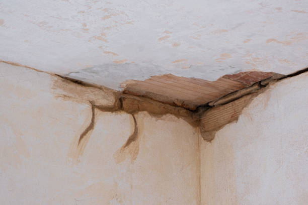 Sewage cleanup and water damage restoration in Fremont, NC