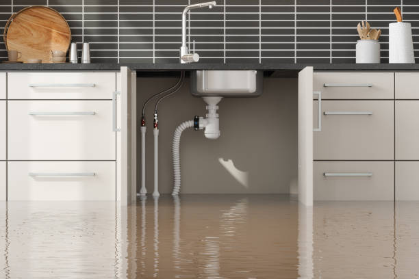 Best Commercial water damage restoration  in Fremont, NC