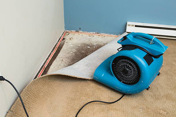 24/7 water damage repair in Fremont, NC